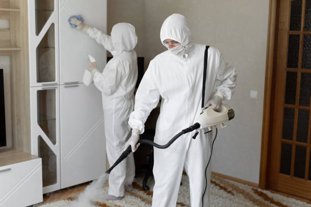 24/7 Emergency Odor Removal experts in Fort Lee, VA