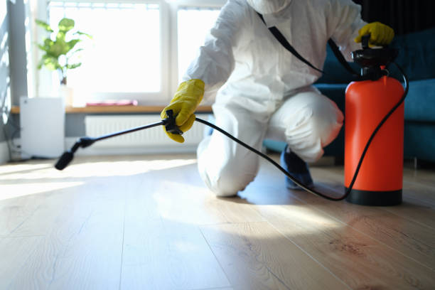 Reliable Odor Removal contractor in Fort Lee, VA by Trauma Clean Pros